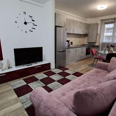 Ludi House Apartment Targu Mures Exterior photo